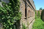 fortino 02