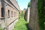 fortino 03